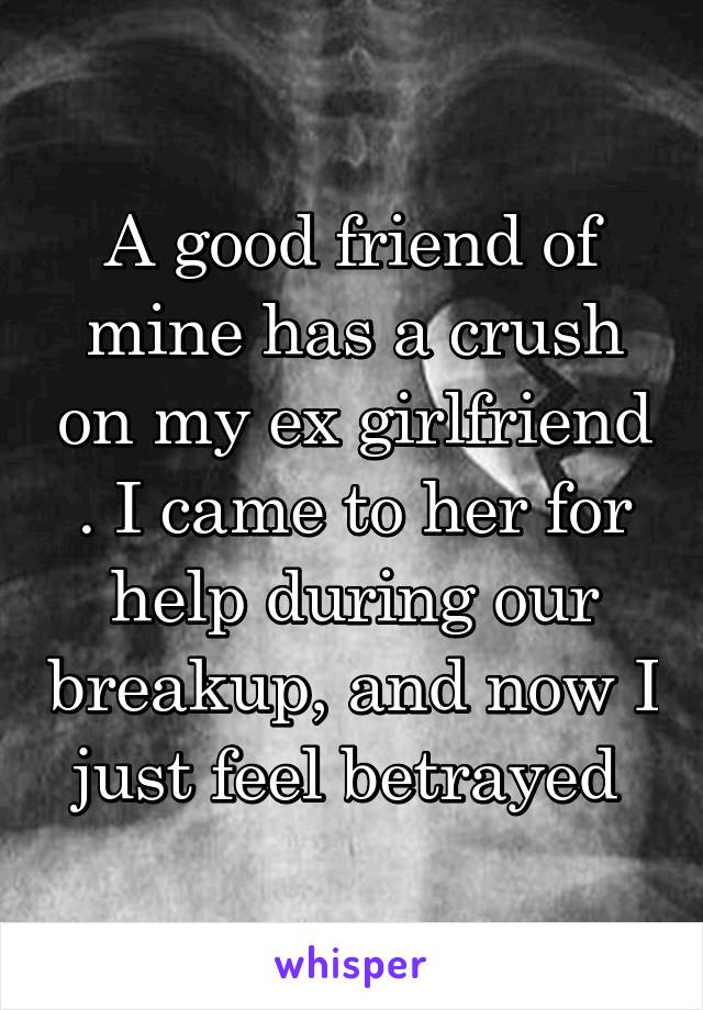 A good friend of mine has a crush on my ex girlfriend . I came to her for help during our breakup, and now I just feel betrayed 