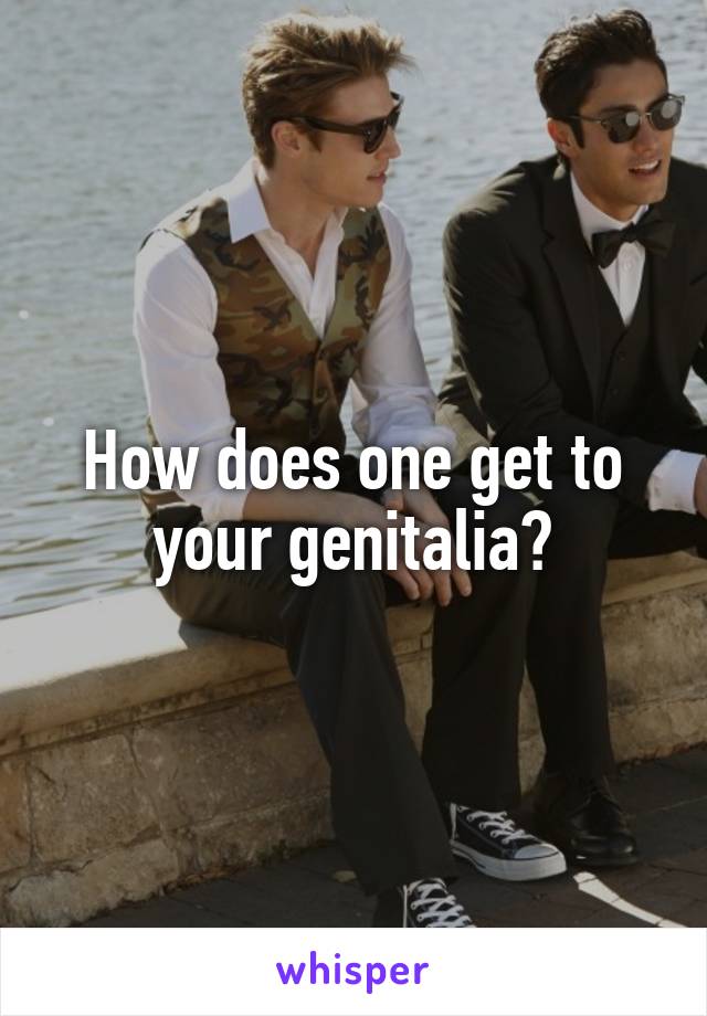 How does one get to your genitalia?