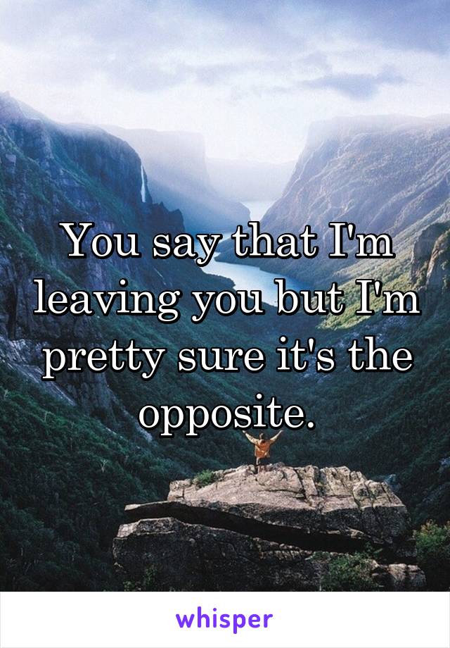 You say that I'm leaving you but I'm pretty sure it's the opposite.