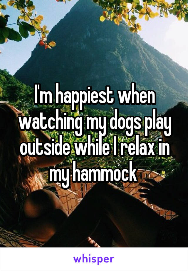 I'm happiest when watching my dogs play outside while I relax in my hammock 