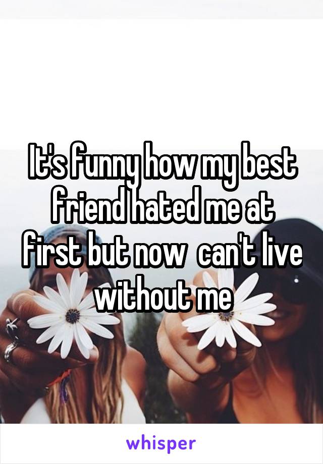 It's funny how my best friend hated me at first but now  can't live without me