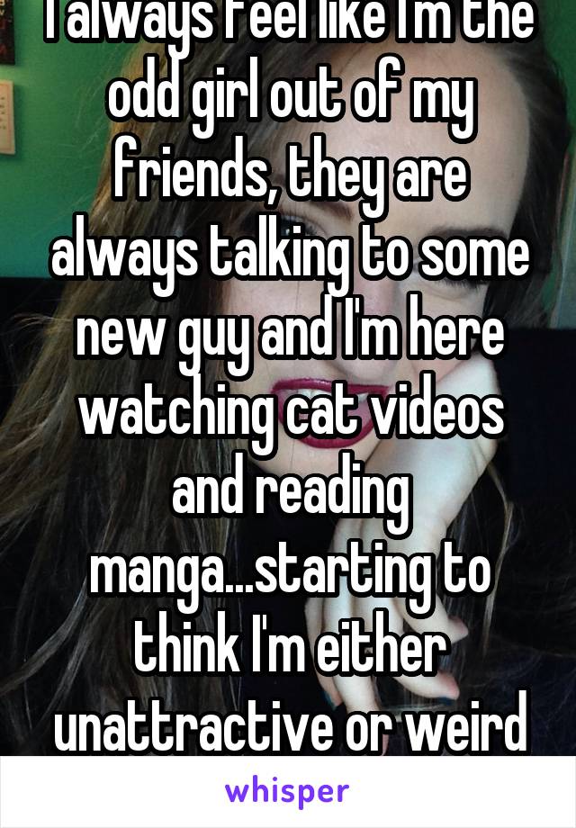 I always feel like I'm the odd girl out of my friends, they are always talking to some new guy and I'm here watching cat videos and reading manga...starting to think I'm either unattractive or weird
