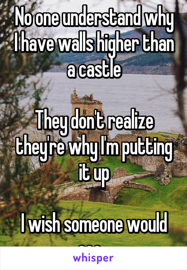 No one understand why I have walls higher than a castle

They don't realize they're why I'm putting it up

I wish someone would see...