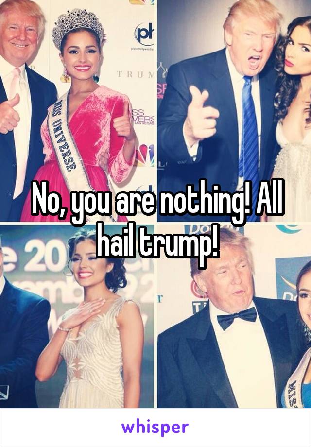 No, you are nothing! All hail trump!