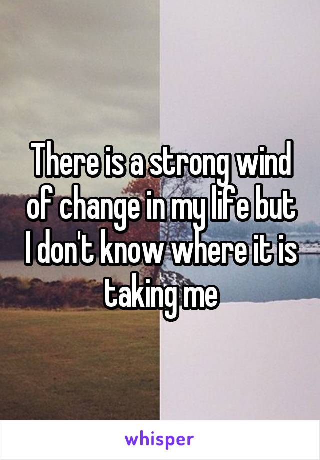 There is a strong wind of change in my life but I don't know where it is taking me