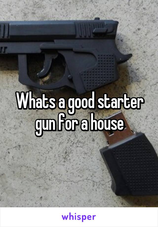 Whats a good starter gun for a house