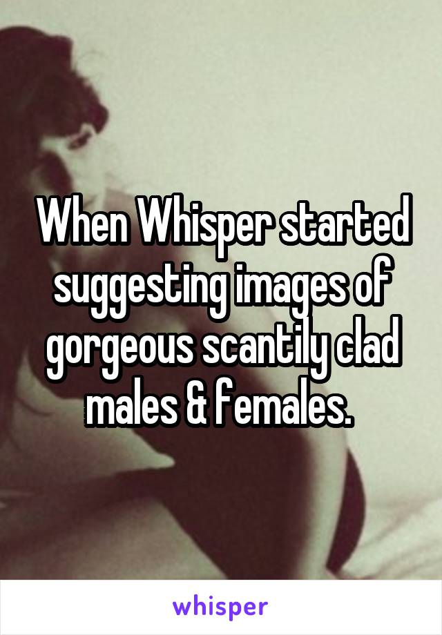 When Whisper started suggesting images of gorgeous scantily clad males & females. 