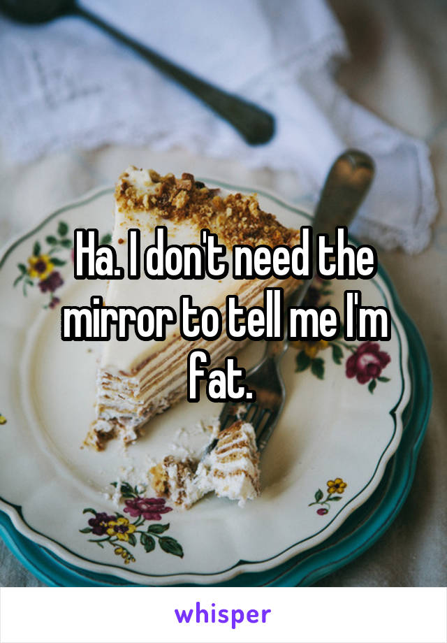 Ha. I don't need the mirror to tell me I'm fat. 