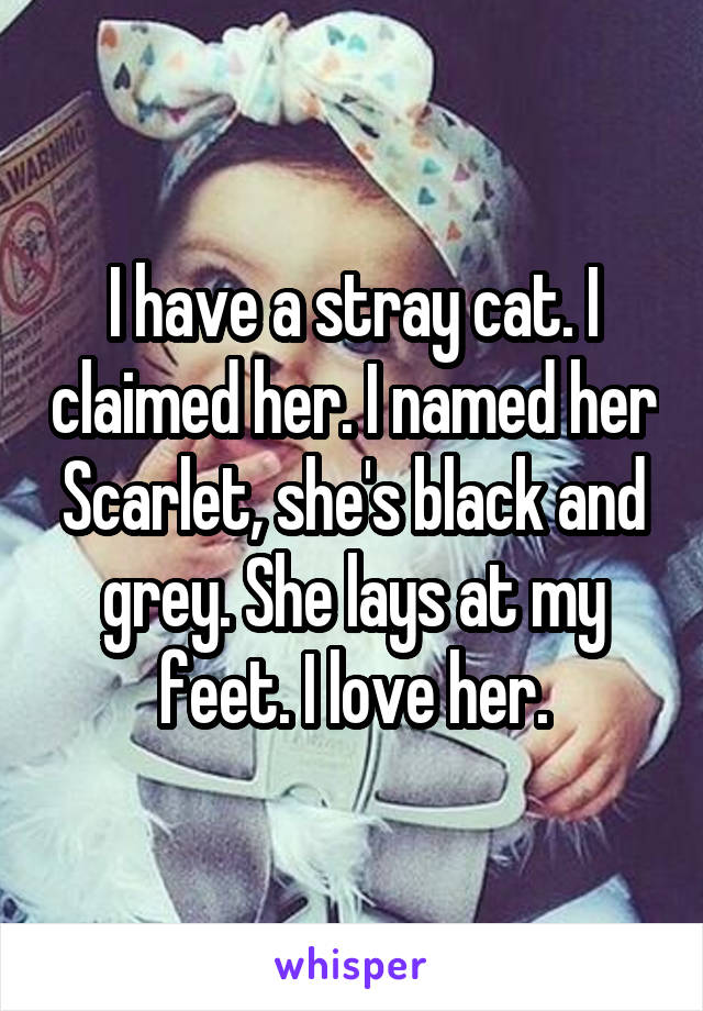 I have a stray cat. I claimed her. I named her Scarlet, she's black and grey. She lays at my feet. I love her.