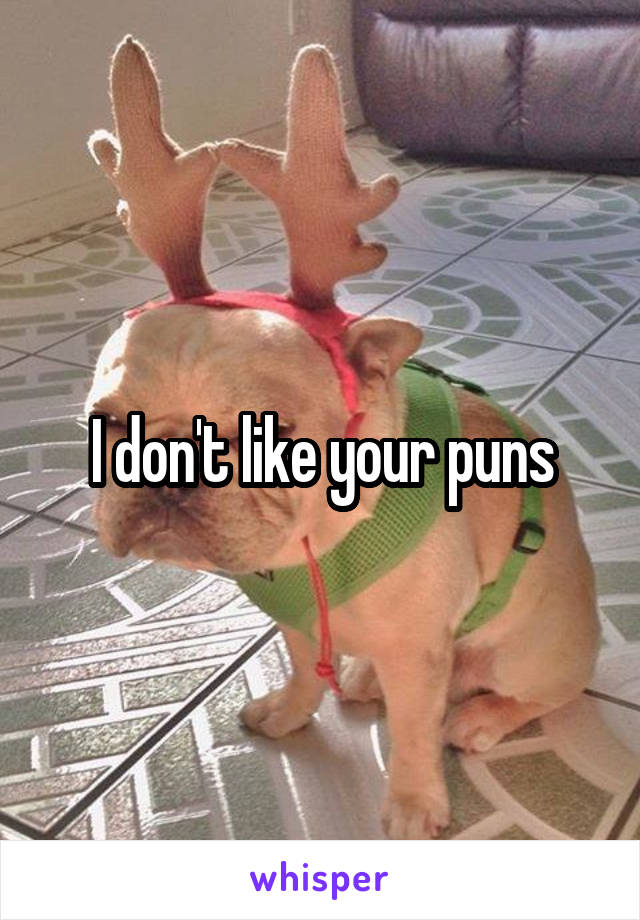 I don't like your puns