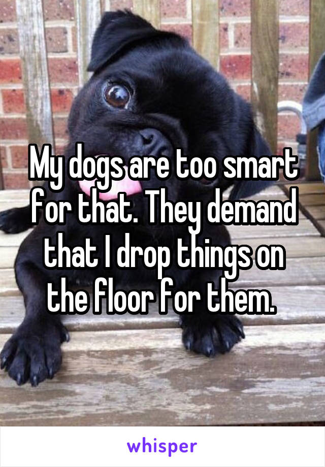 My dogs are too smart for that. They demand that I drop things on the floor for them. 