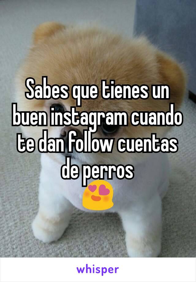 Sabes que tienes un buen instagram cuando te dan follow cuentas de perros
😍