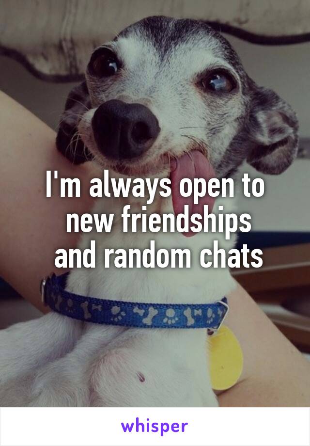 I'm always open to
 new friendships
 and random chats