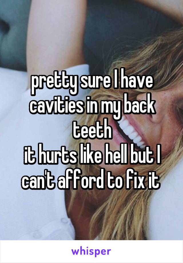 pretty sure I have cavities in my back teeth
it hurts like hell but I can't afford to fix it 