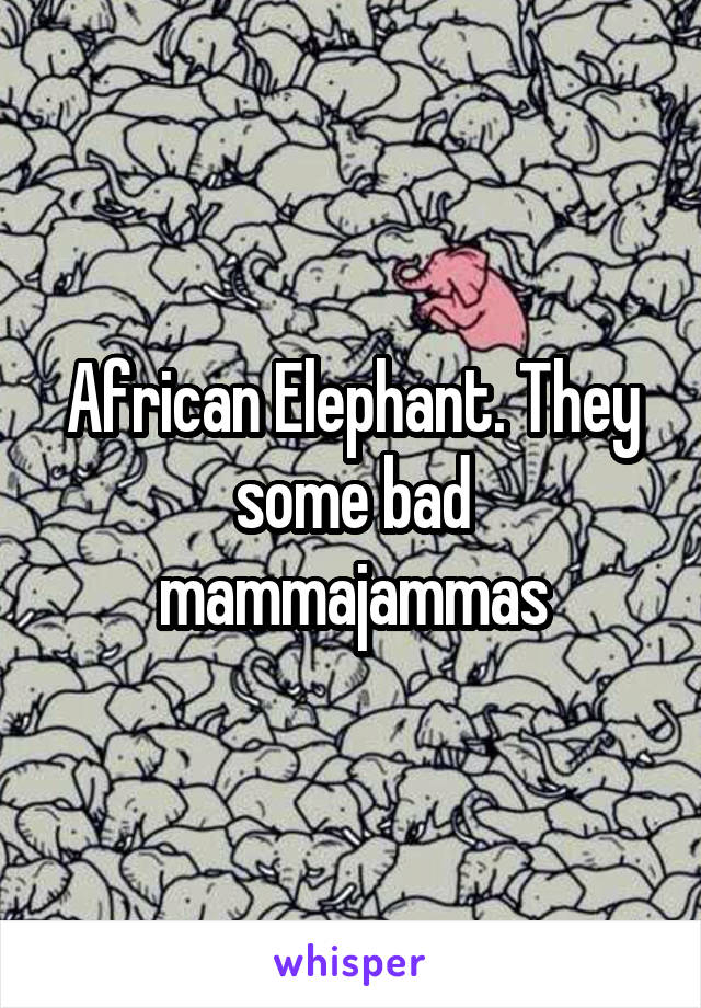 African Elephant. They some bad mammajammas