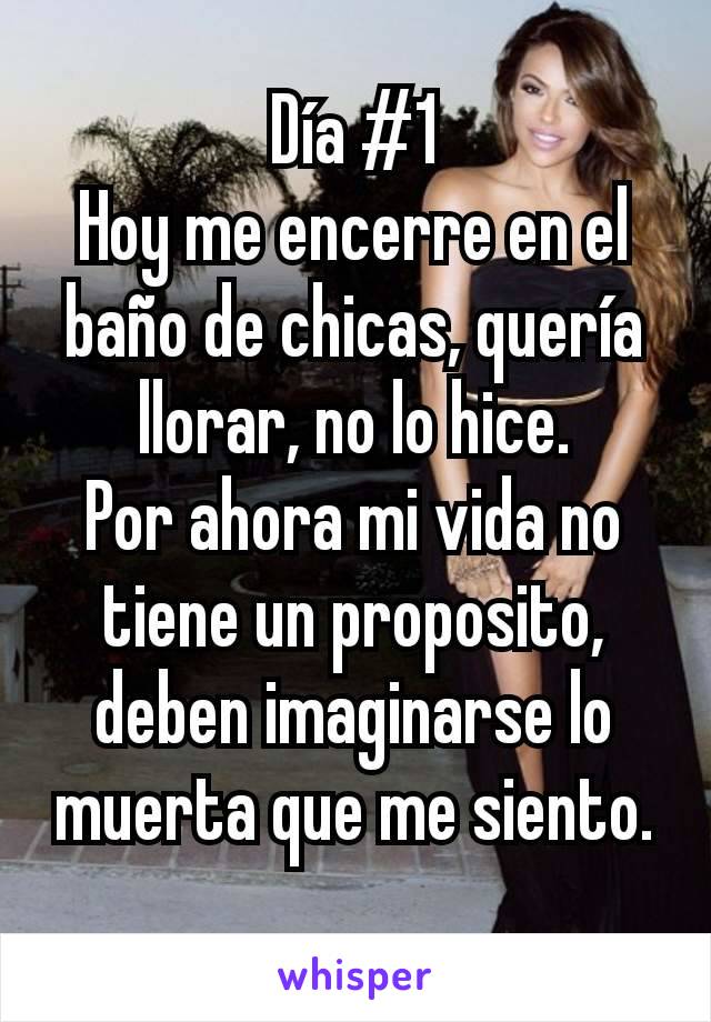 Día #1
Hoy me encerre en el baño de chicas, quería llorar, no lo hice.
Por ahora mi vida no tiene un proposito, deben imaginarse lo muerta que me siento.
