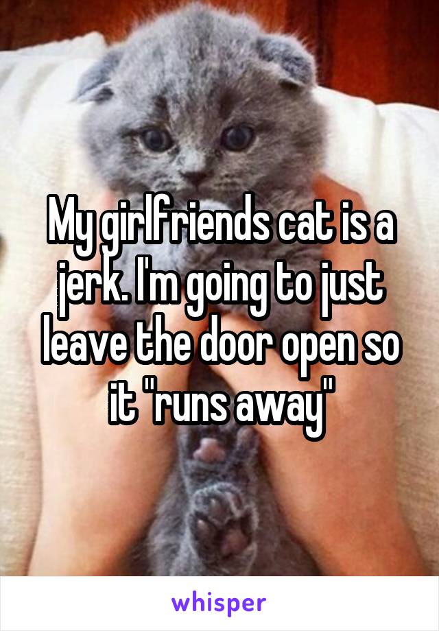 My girlfriends cat is a jerk. I'm going to just leave the door open so it "runs away"