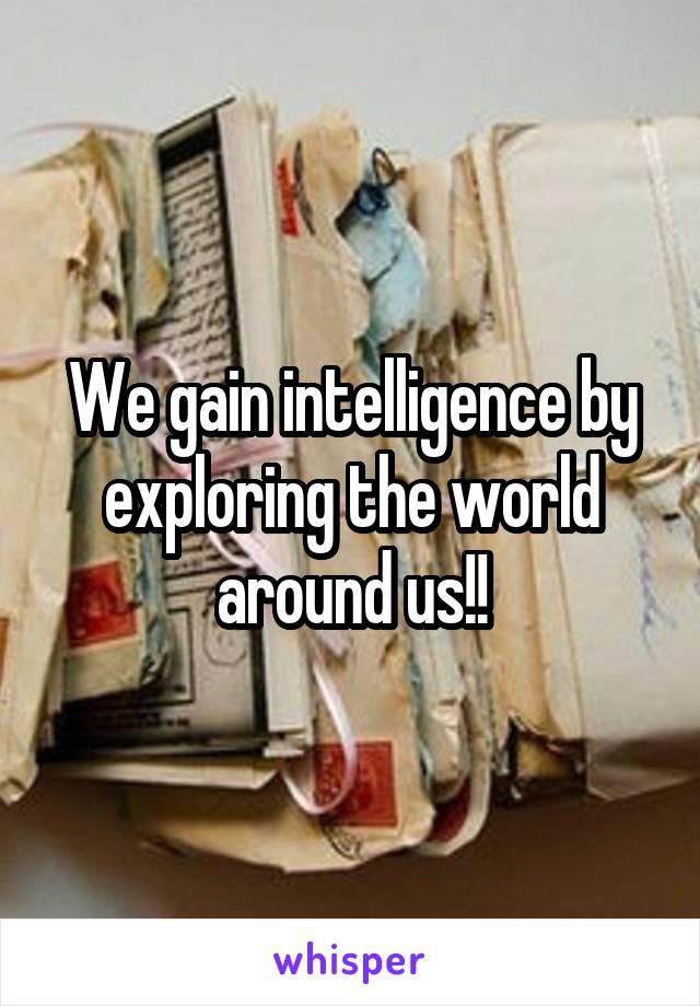 We gain intelligence by exploring the world around us!!