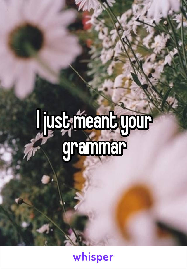 I just meant your grammar