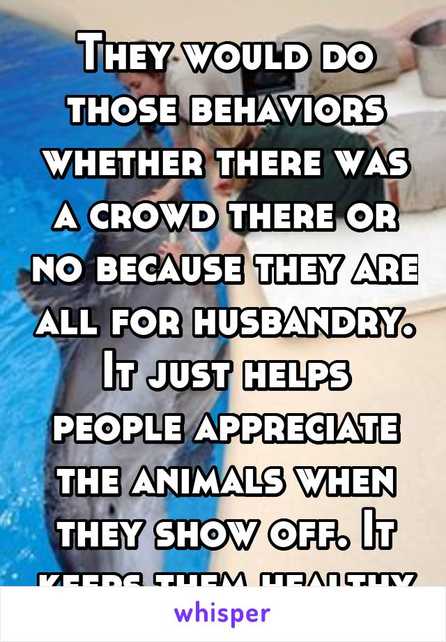 They would do those behaviors whether there was a crowd there or no because they are all for husbandry. It just helps people appreciate the animals when they show off. It keeps them healthy