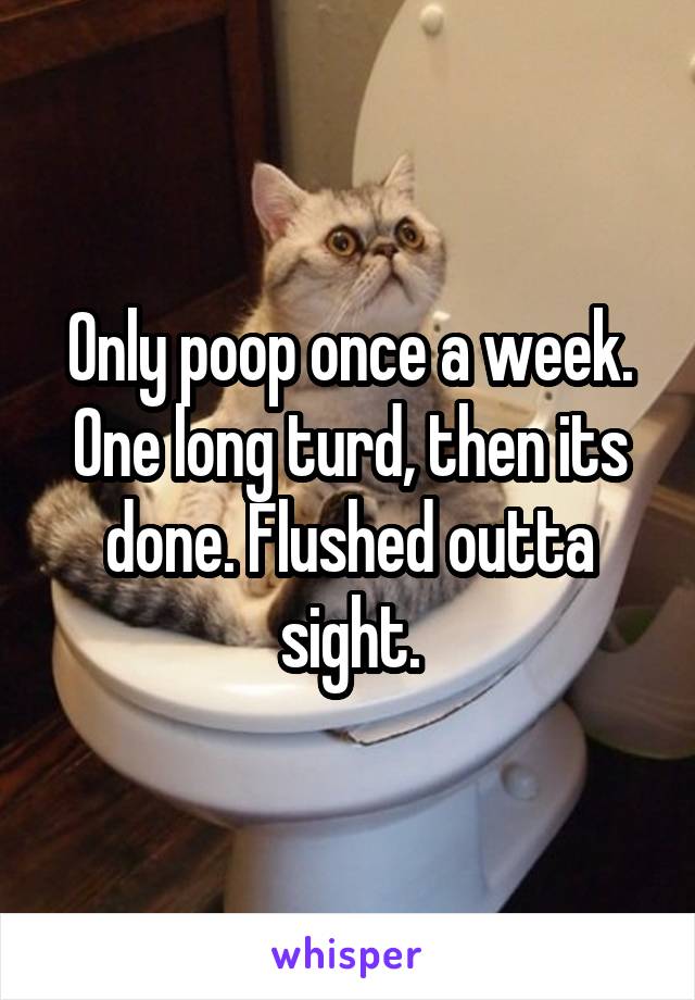 Only poop once a week. One long turd, then its done. Flushed outta sight.