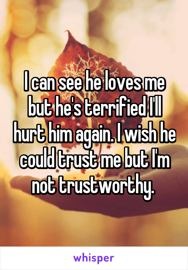 I can see he loves me but he's terrified I'll hurt him again. I wish he could trust me but I'm not trustworthy. 