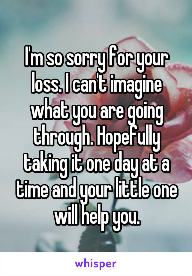 I'm so sorry for your loss. I can't imagine what you are going through. Hopefully taking it one day at a time and your little one will help you.