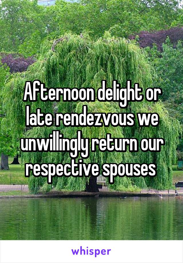 Afternoon delight or late rendezvous we unwillingly return our respective spouses 