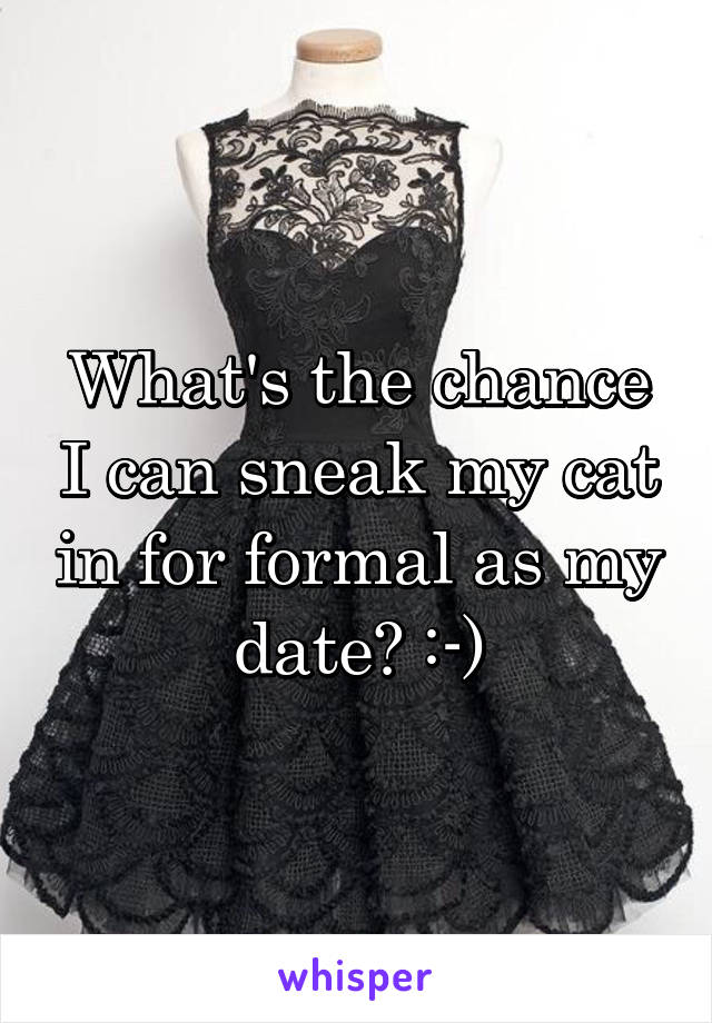 What's the chance I can sneak my cat in for formal as my date? :-)