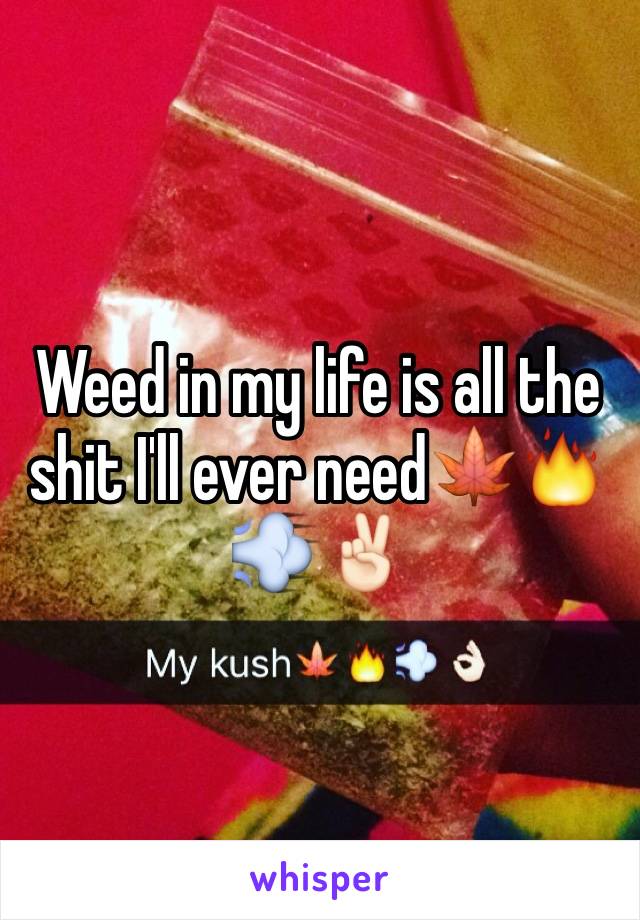 Weed in my life is all the shit I'll ever need🍁🔥💨✌🏻️