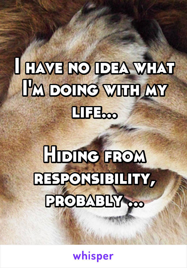 I have no idea what I'm doing with my life...

Hiding from responsibility, probably ...