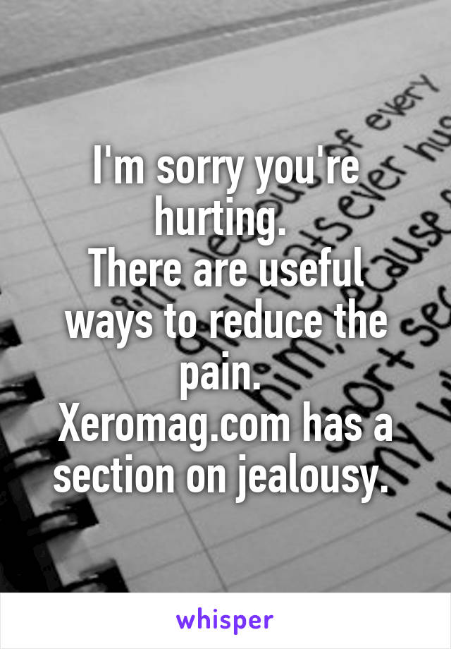 I'm sorry you're hurting. 
There are useful ways to reduce the pain. 
Xeromag.com has a section on jealousy. 