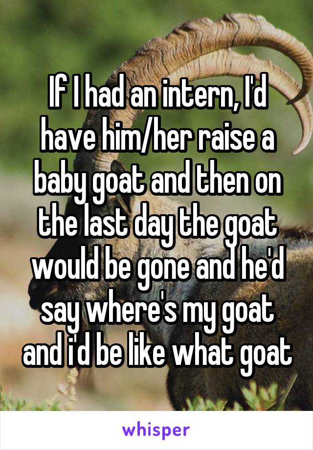 If I had an intern, I'd have him/her raise a baby goat and then on the last day the goat would be gone and he'd say where's my goat and i'd be like what goat