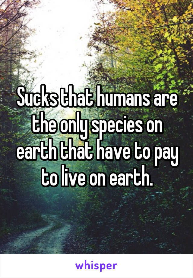 Sucks that humans are the only species on earth that have to pay to live on earth.