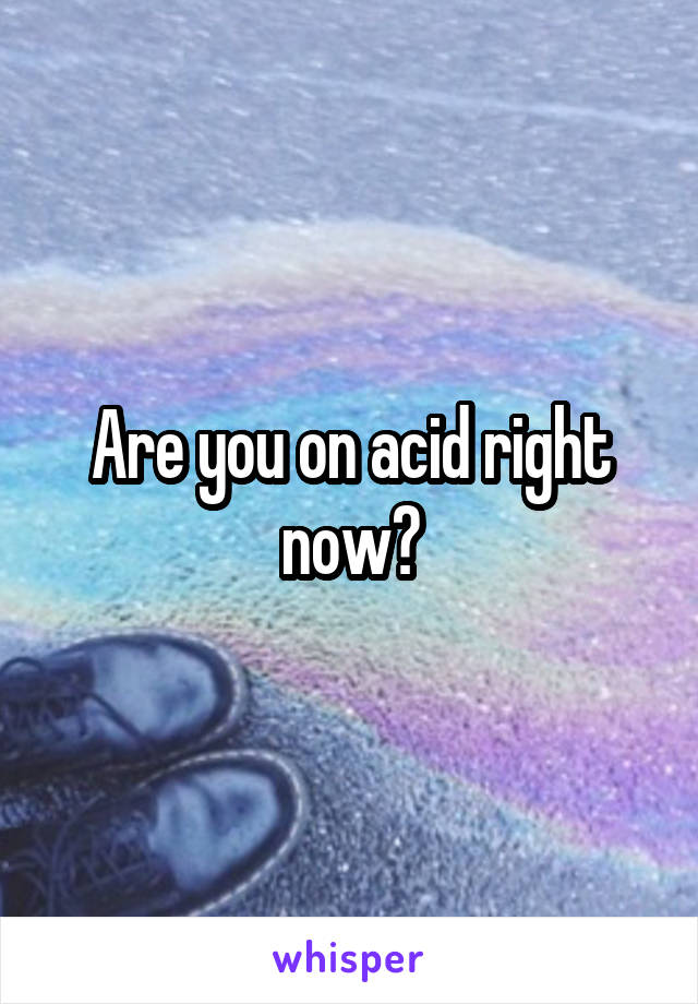 Are you on acid right now?