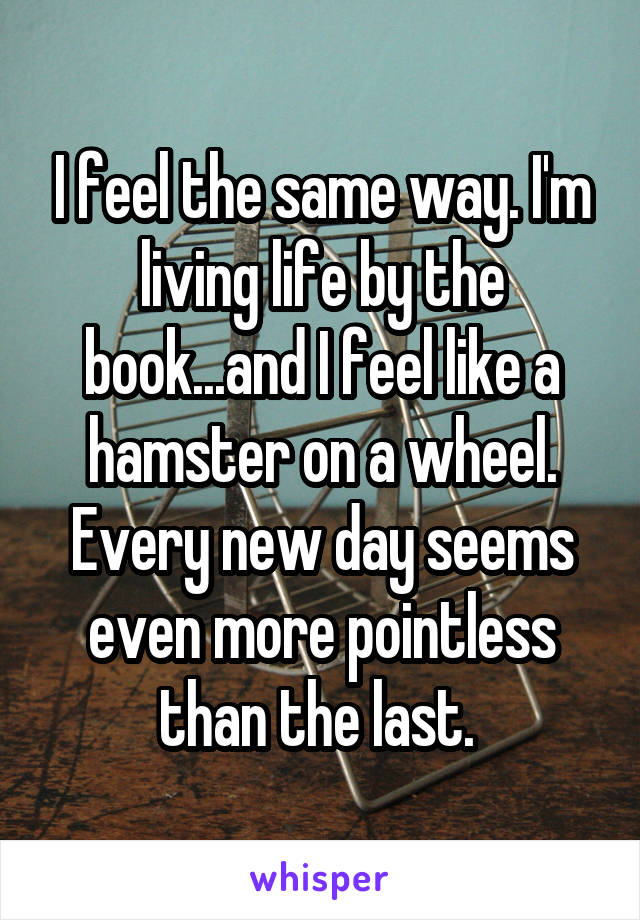 I feel the same way. I'm living life by the book...and I feel like a hamster on a wheel. Every new day seems even more pointless than the last. 