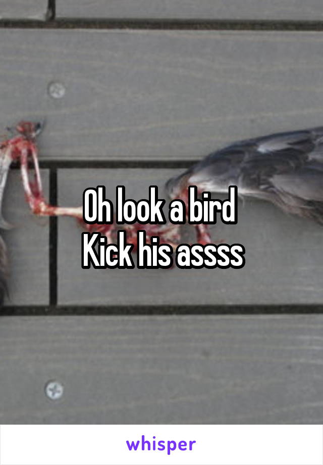 Oh look a bird 
Kick his assss