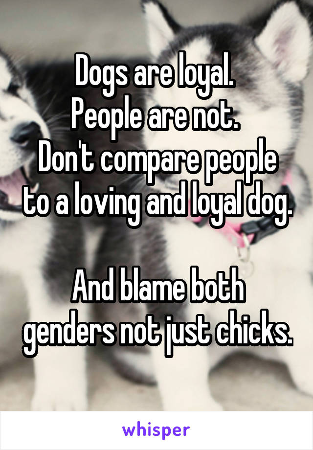 Dogs are loyal. 
People are not. 
Don't compare people to a loving and loyal dog. 
And blame both genders not just chicks. 