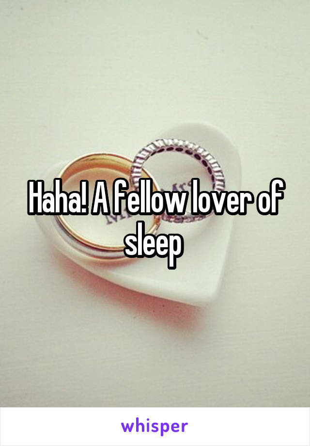 Haha! A fellow lover of sleep 