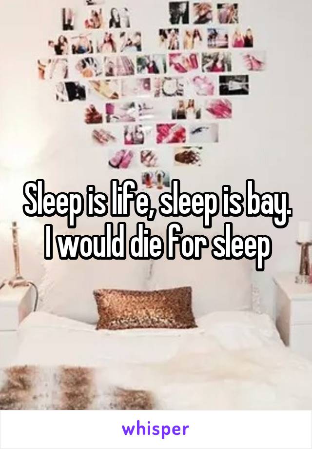 Sleep is life, sleep is bay. I would die for sleep