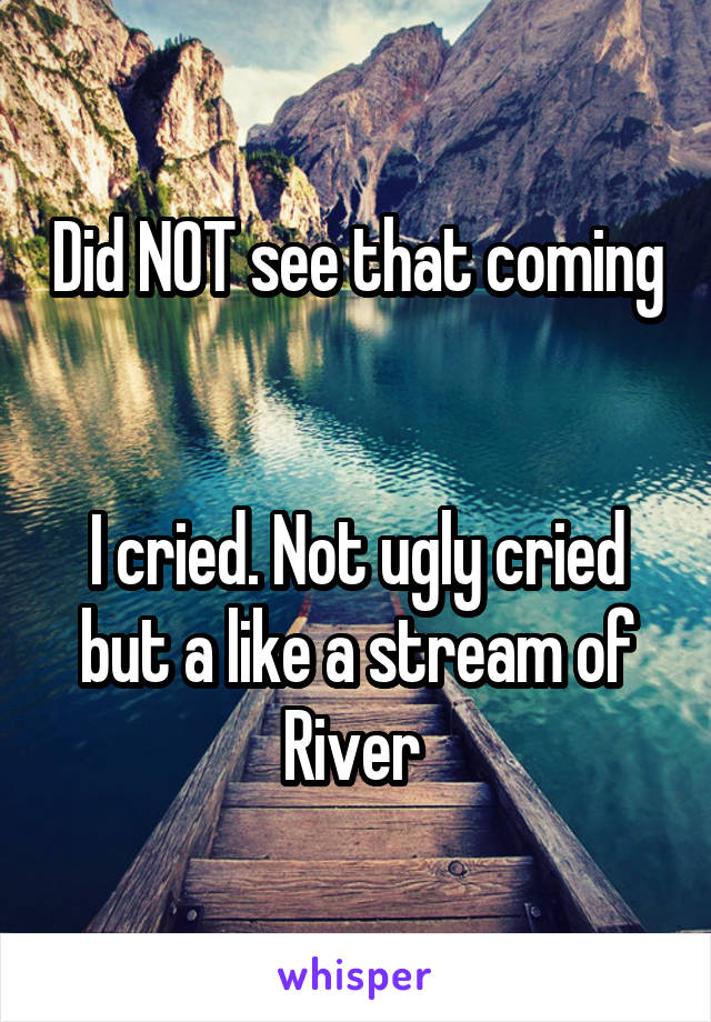 Did NOT see that coming 

I cried. Not ugly cried but a like a stream of River 