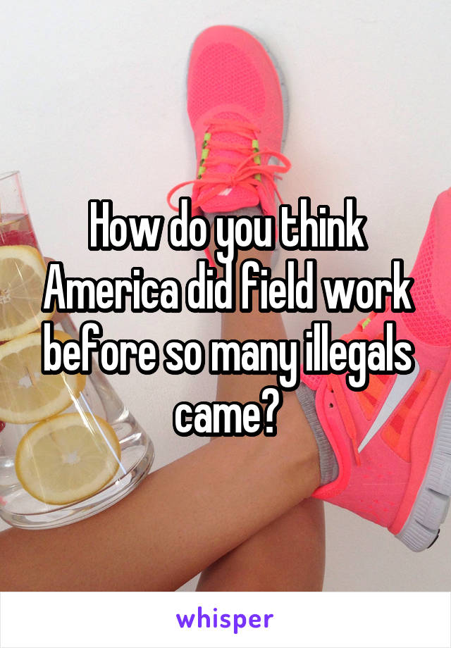 How do you think America did field work before so many illegals came?