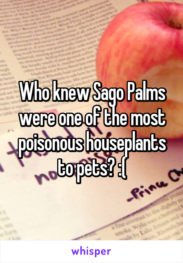 Who knew Sago Palms were one of the most poisonous houseplants to pets? :(