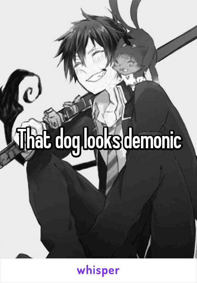 That dog looks demonic