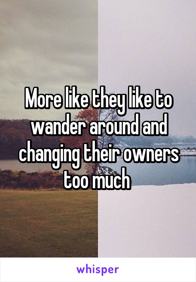 More like they like to wander around and changing their owners too much 