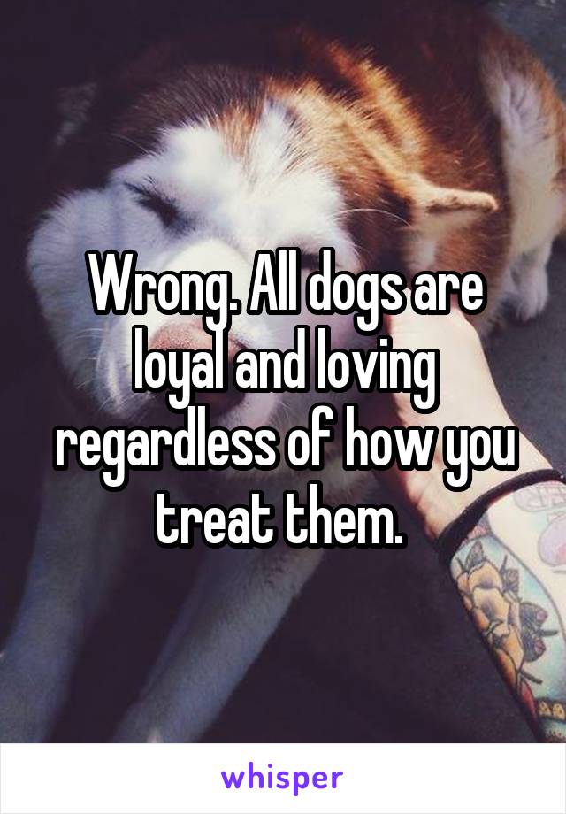 Wrong. All dogs are loyal and loving regardless of how you treat them. 