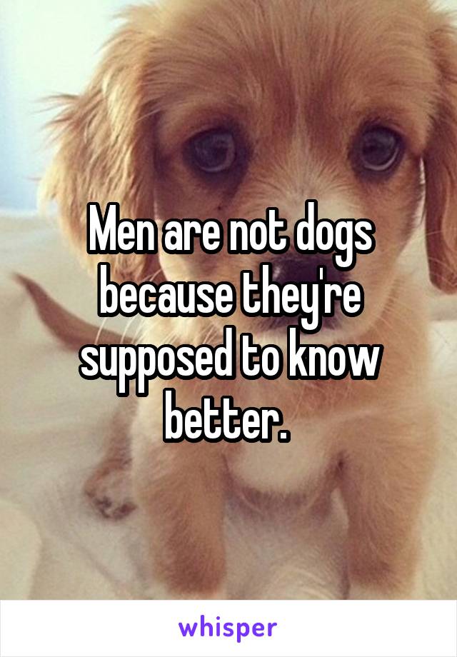 Men are not dogs because they're supposed to know better. 