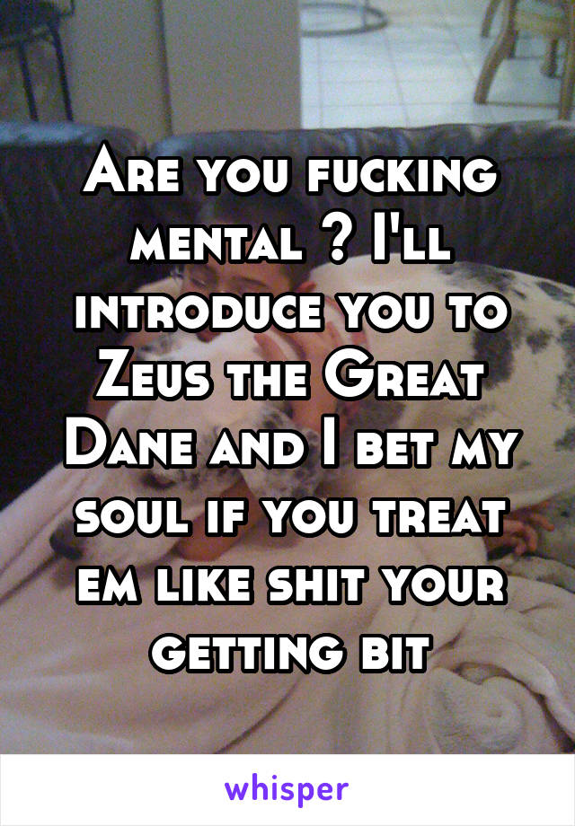 Are you fucking mental ? I'll introduce you to Zeus the Great Dane and I bet my soul if you treat em like shit your getting bit