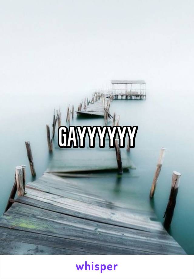 GAYYYYYY