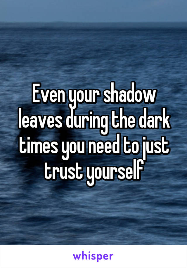 Even your shadow leaves during the dark times you need to just trust yourself